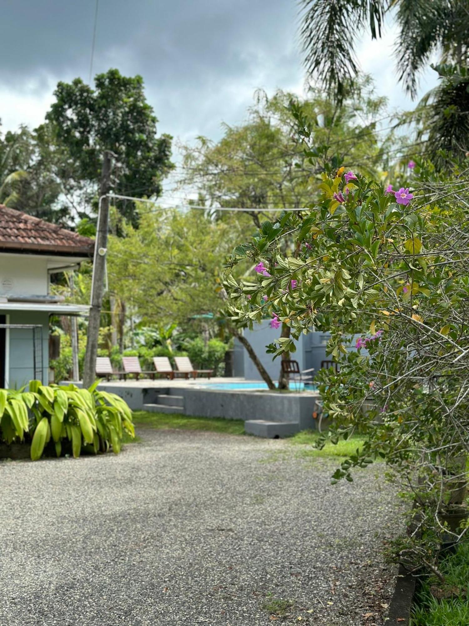 Mango Tree Villa Unawatuna Kültér fotó
